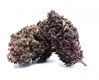 CBD Blüten Premium Purple Jack