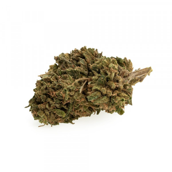 CBD Blüten Premium New York Cookies