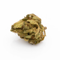 CBD Blüten Premium Jack Herer